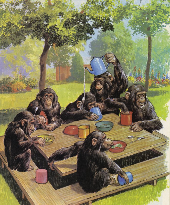 Chimps tea party at the Zoo by English School