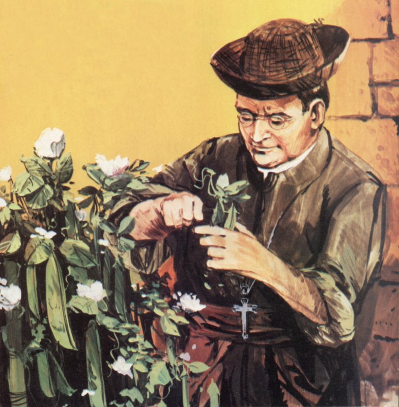Johann Mendel working in his monastery garden by English School