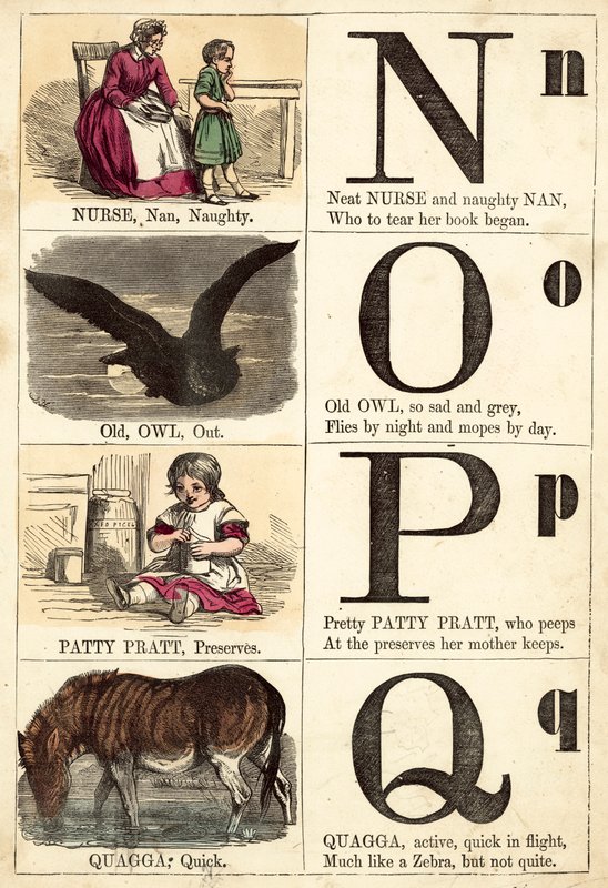 Picture Alphabet by English School