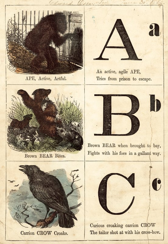 Picture Alphabet by English School