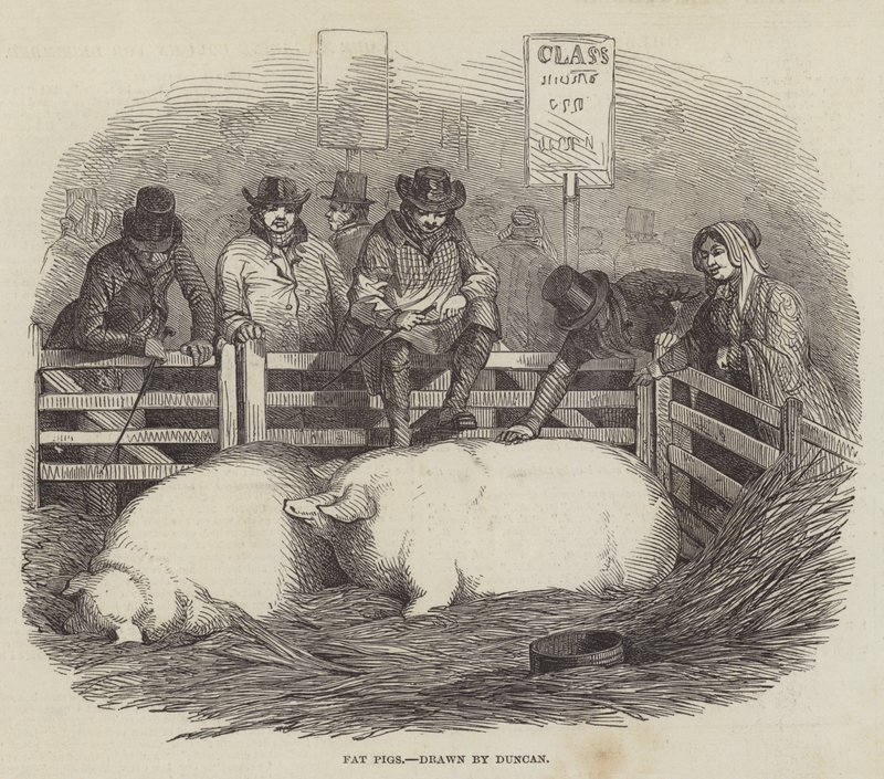 The Smithfield Club Cattle Show by English School