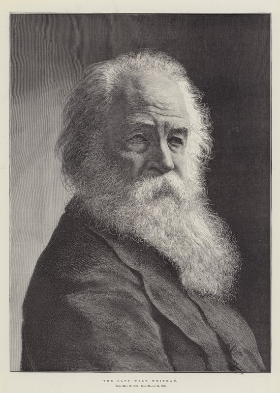 The late Walt Whitman by English School