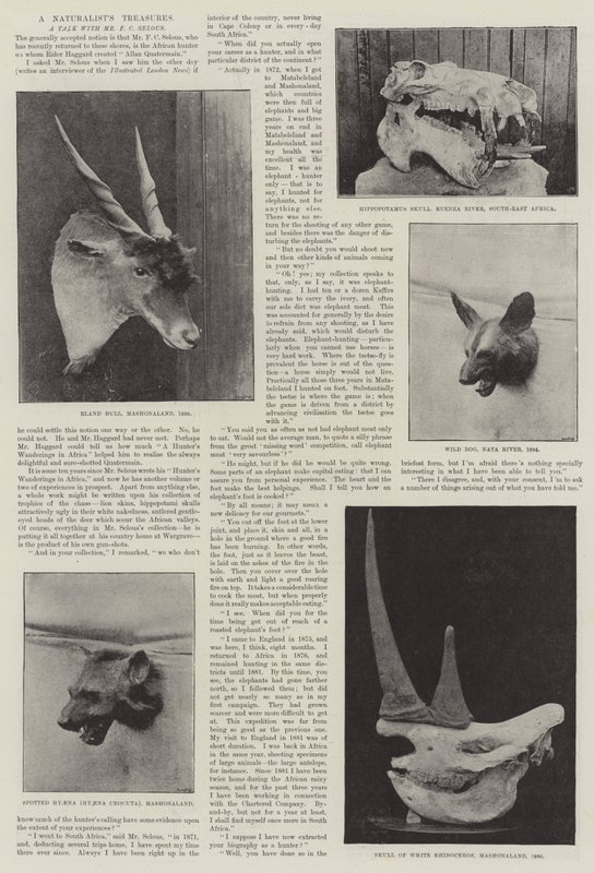 A Naturalist
