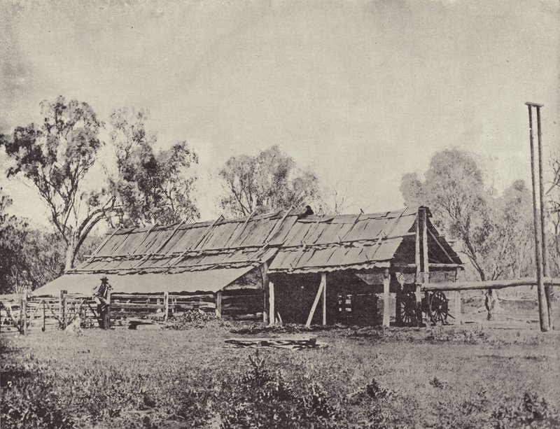 A Primitive Shearing-Shed by English Photographer