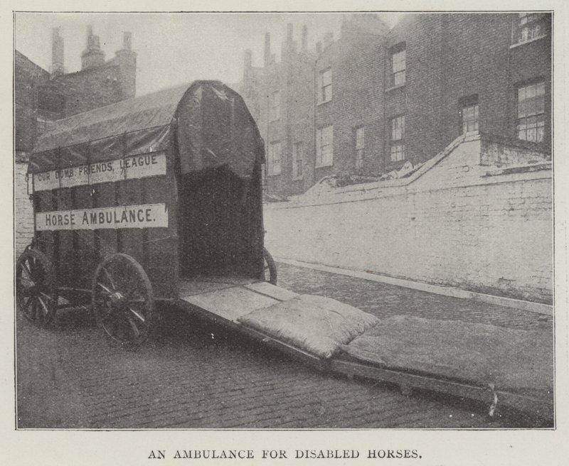 An Ambulance for Disabled Horses by English Photographer
