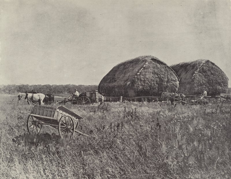 Canning Downs Station by English Photographer