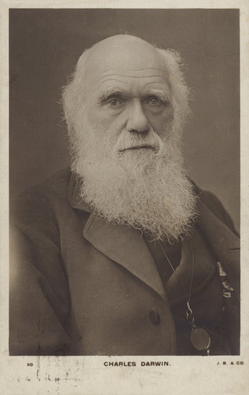 Charles Darwin (1809-1882), English Naturalist by English Photographer