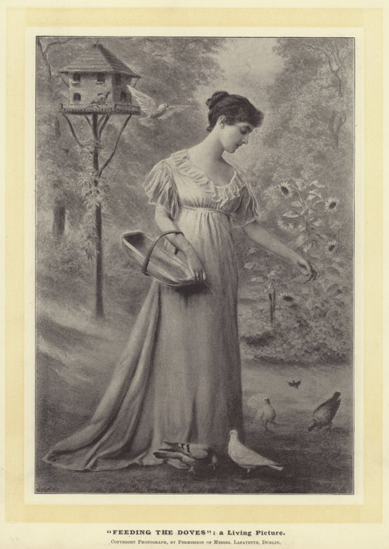 Feeding The Doves: a Living Picture by English Photographer