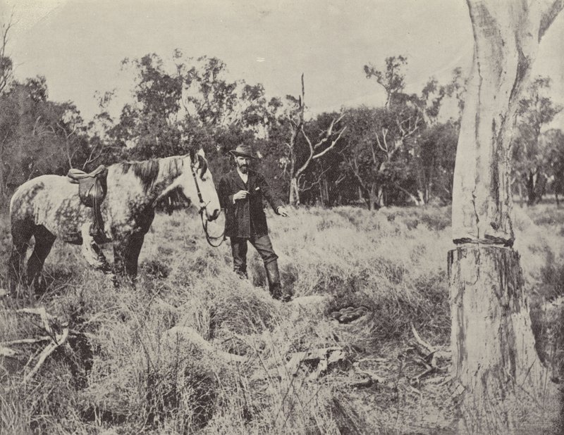 Finding an Emu