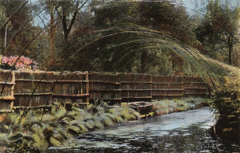 Fritton Decoy by English Photographer