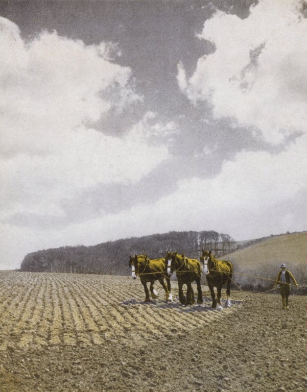 Harrowing in the Spring by English Photographer