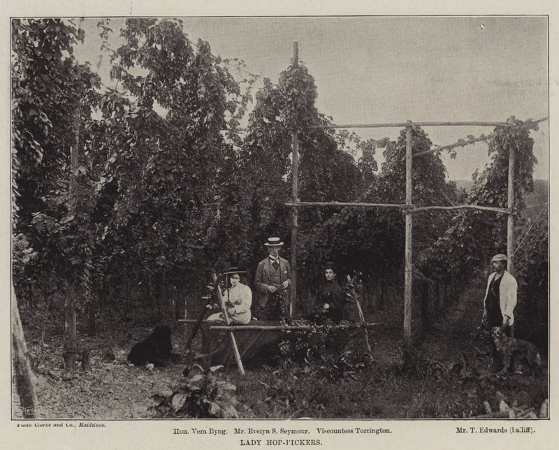 Lady Hop-Pickers by English Photographer
