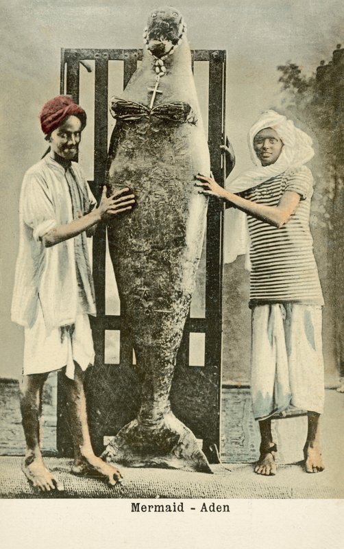 Mermaid - Aden by English Photographer