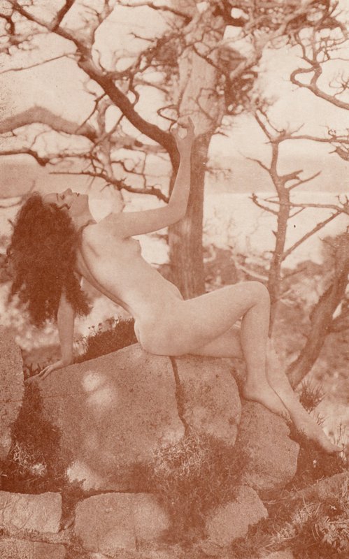 Nudist Art: Tanglewood by English Photographer