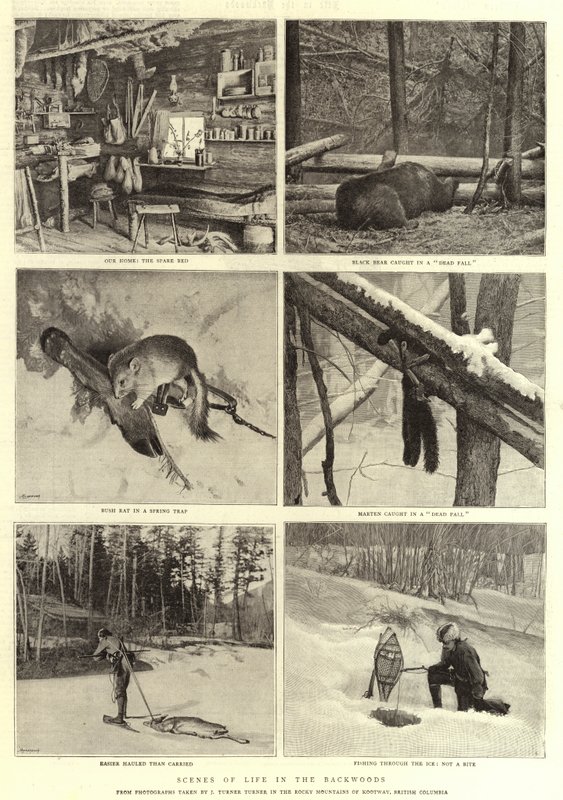Scenes of Life in the Backwoods by English Photographer