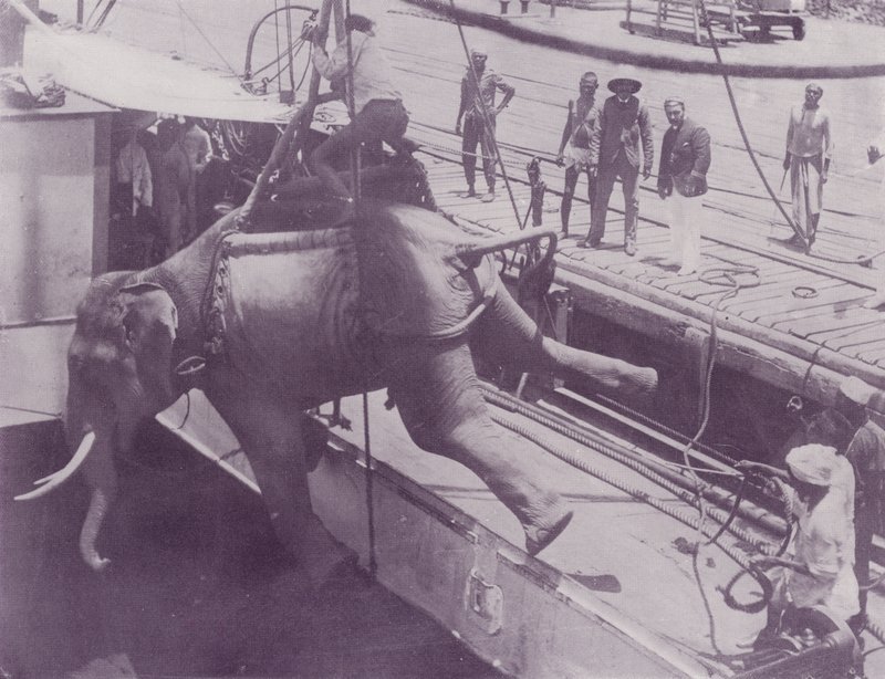 Shipping an Elephant, Rangoon by English Photographer