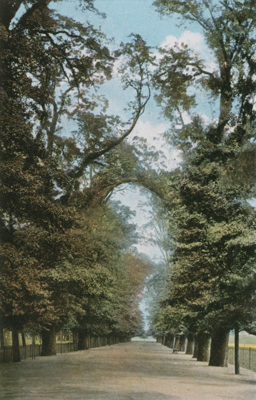 The Broad Walk by English Photographer