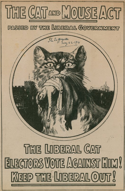 The Cat and Mouse Act by English Photographer