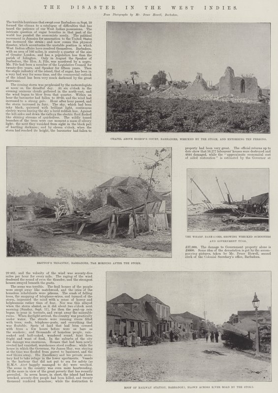 The Disaster in the West Indies by English Photographer