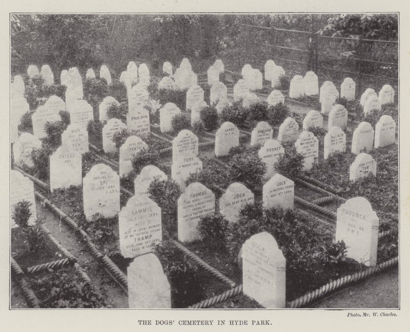 The Dogs Cemetery in Hyde Park by English Photographer