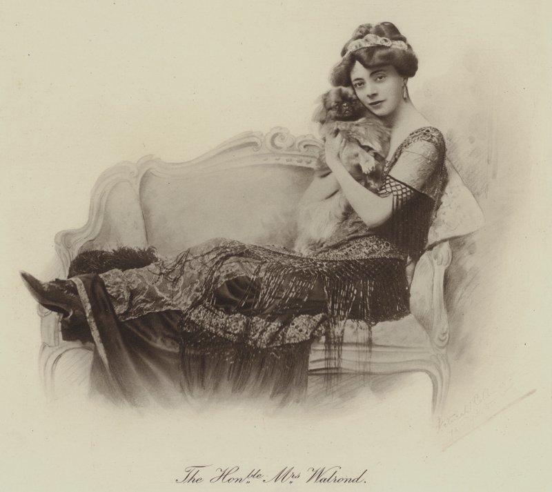 The Honourable Mrs Walrond by English Photographer