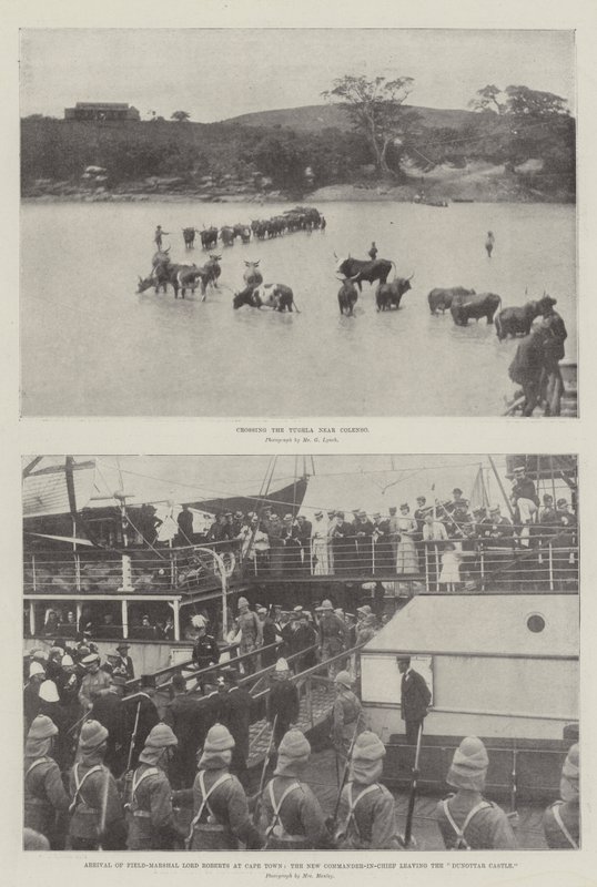 The War in the Transvaal by English Photographer