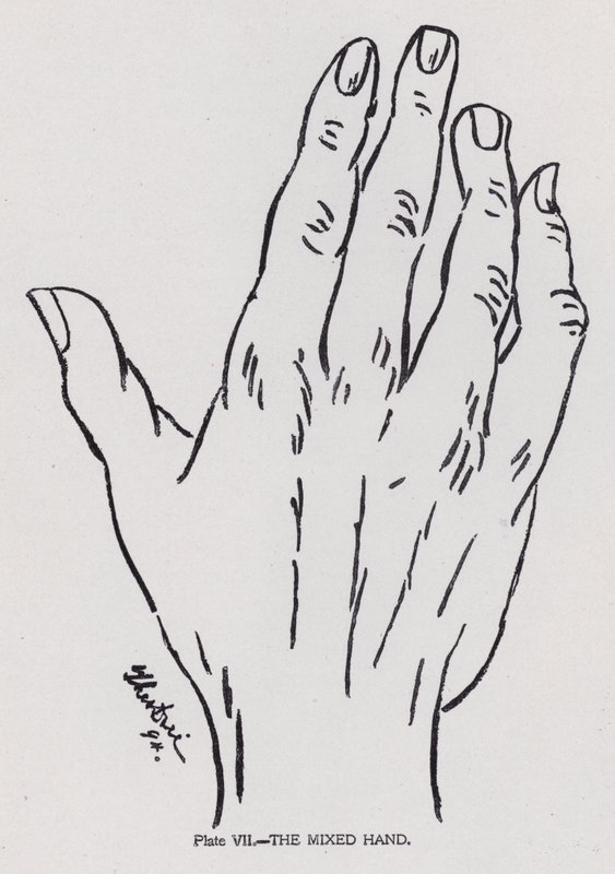 The Mixed Hand by English Photographer
