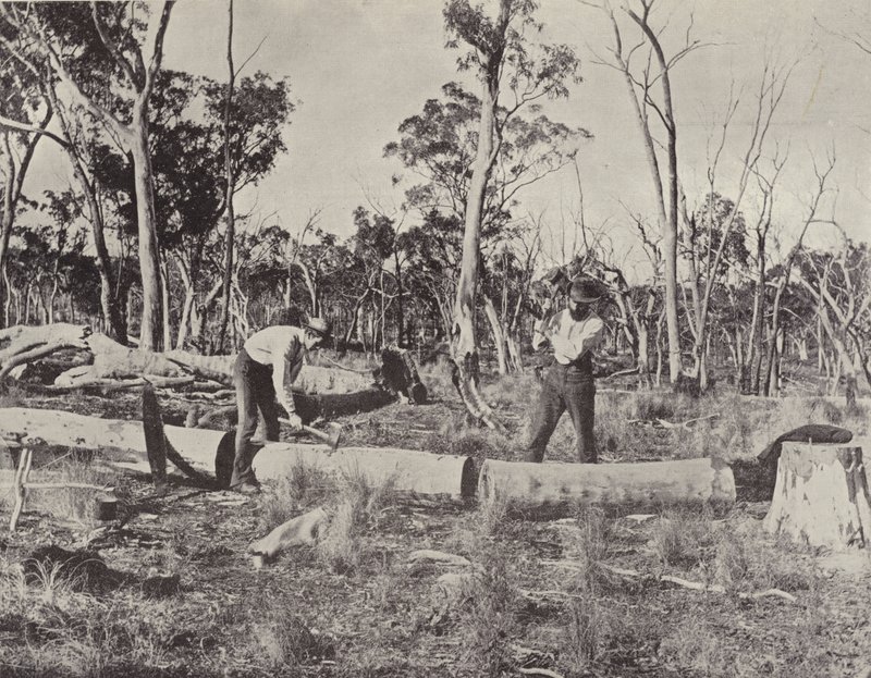 Timber Splitters at Work by English Photographer