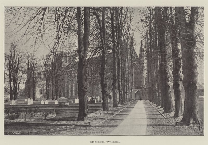 Winchester Cathedral by English Photographer