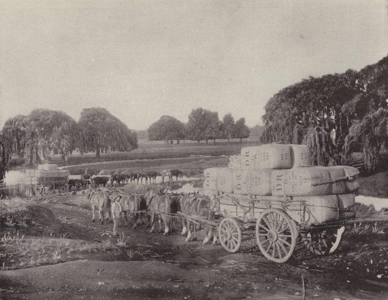 Wool-Teams, En Route to a Railway by English Photographer