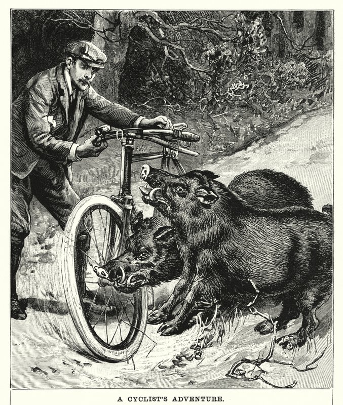 A Cyclist