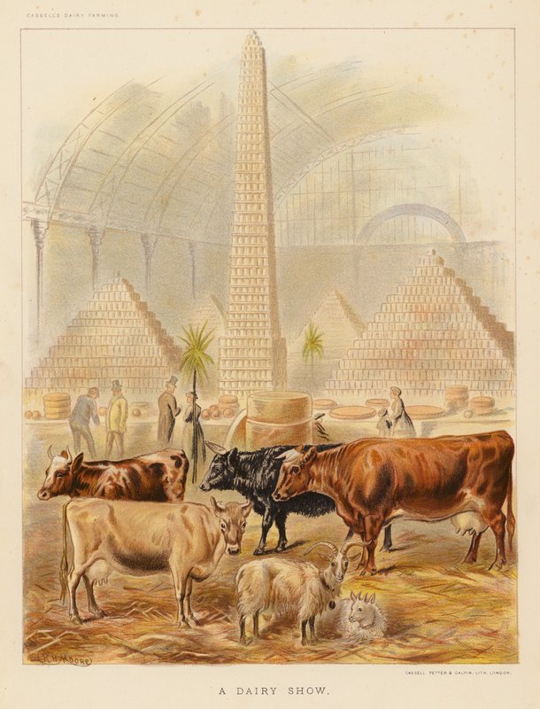 A Dairy Show by English School