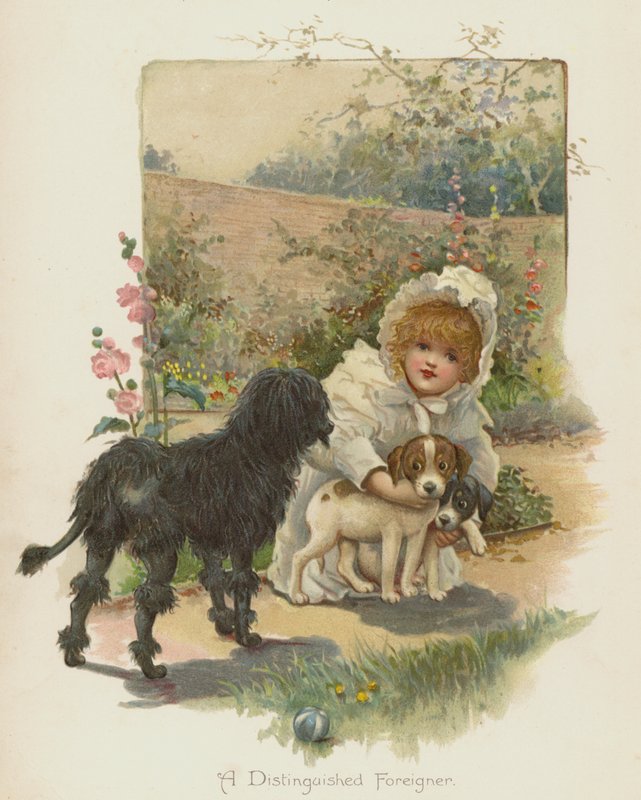 A Distinguished Foreigner by English School