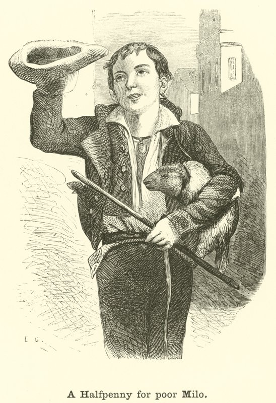 A Halfpenny for Poor Milo by English School