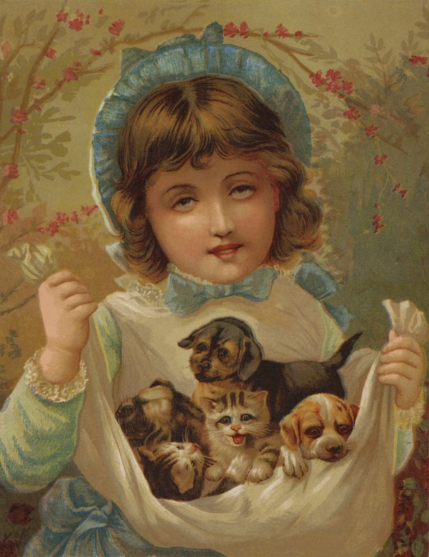 A Lapful of Mischief by English School