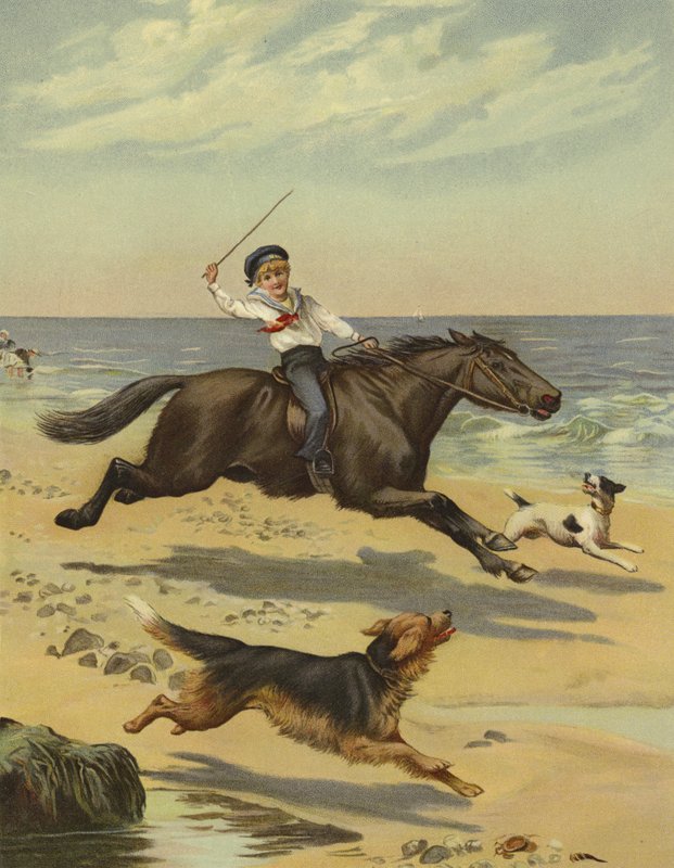 A Morning Gallop by English School