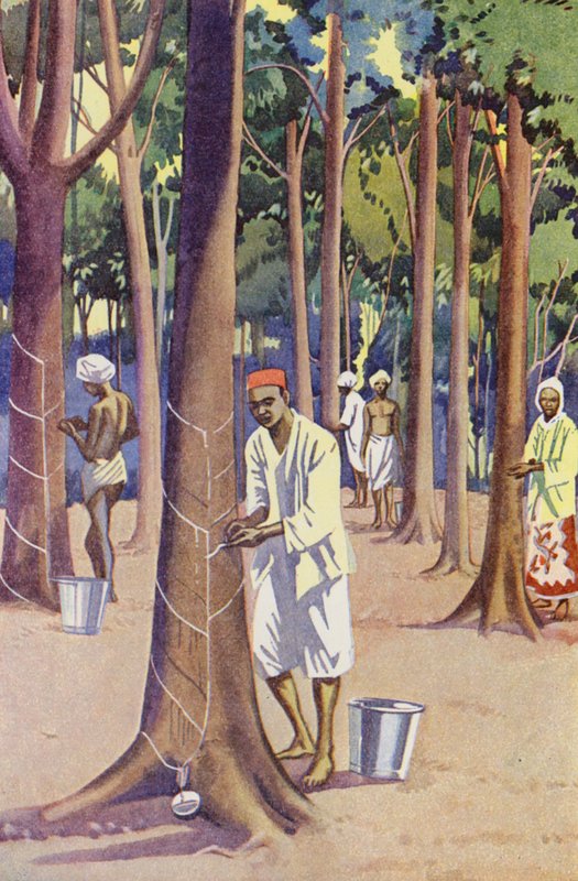 A Rubber Plantation in Malaya by English School