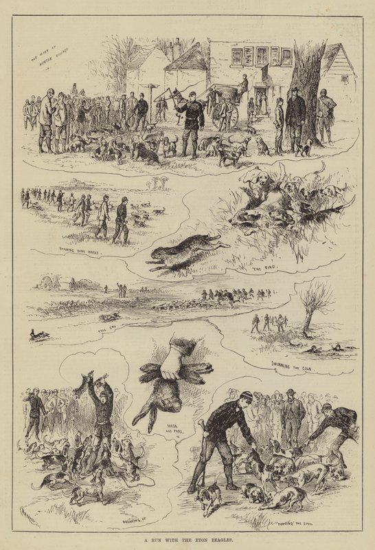 A Run with the Eton Beagles (engraving) by English School