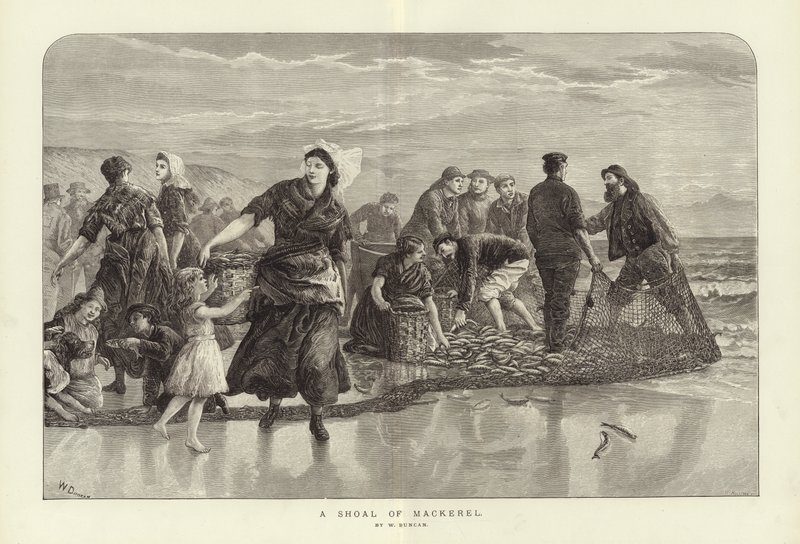 A Shoal of Mackerel by English School