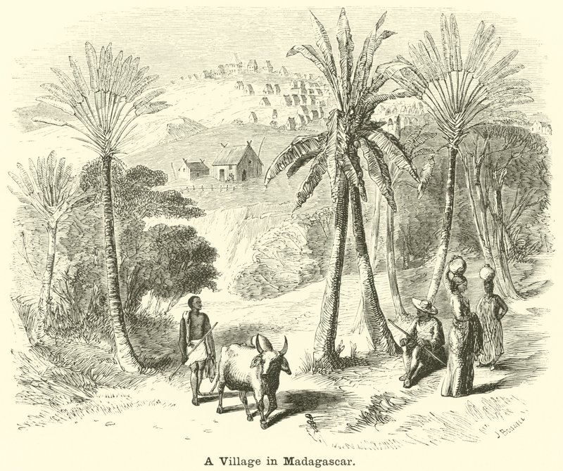 A Village in Madagascar by English School