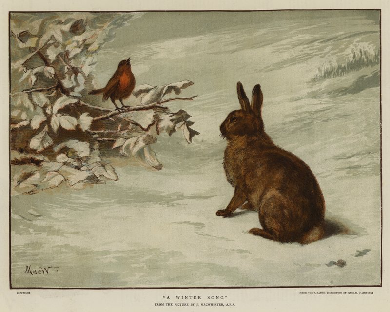 A Winter Song by English School