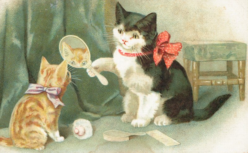 A Cat Holding a Hand Mirror by English School