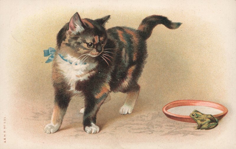 A cat watching a frog by English School