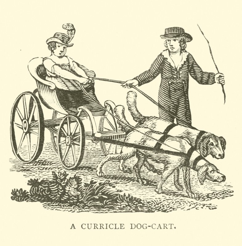 A curricle dog-cart by English School
