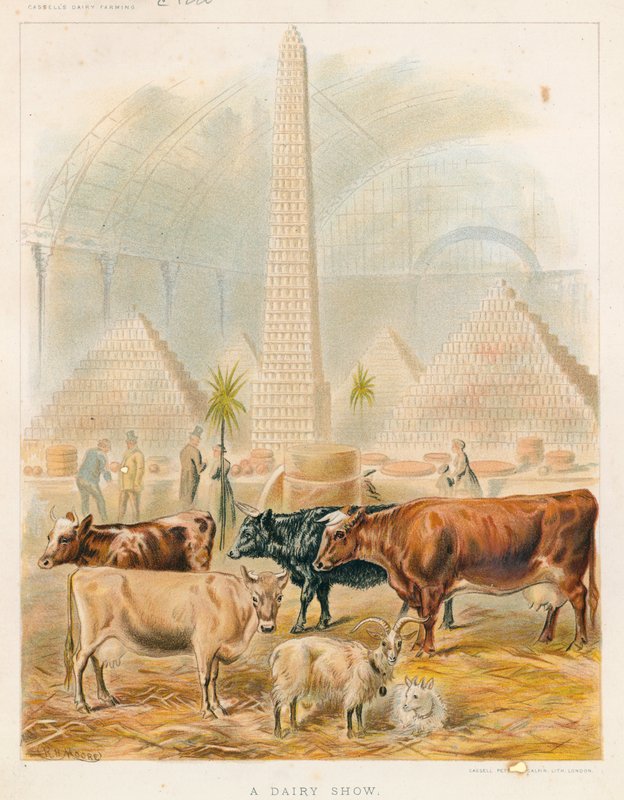 A Dairy Show by English School