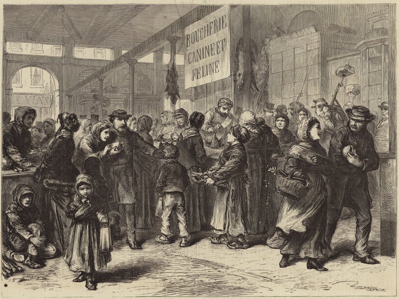 A Dog and Cat Butchers in Paris by English School