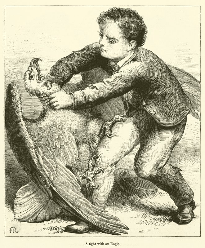 A Fight with an Eagle by English School