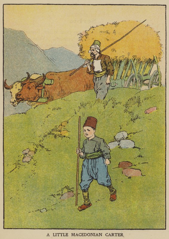 A Little Macedonian Carter by English School