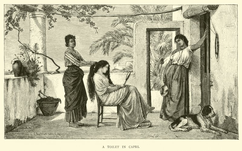 A Toilet in Capri by English School