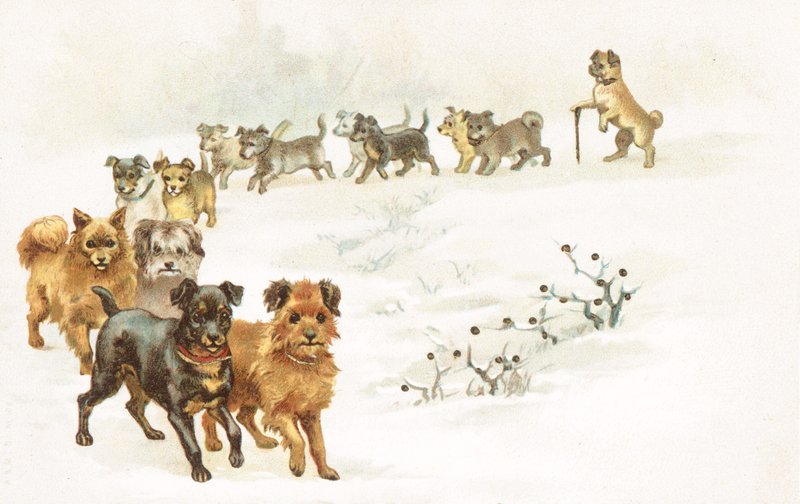 A Train of Dogs in the Snow by English School
